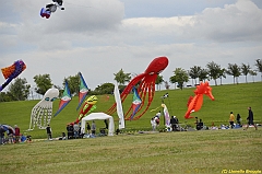 Venice kite festival_0505